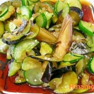 みょうがの香りで爽やか夏野菜とみょうがの即席漬け